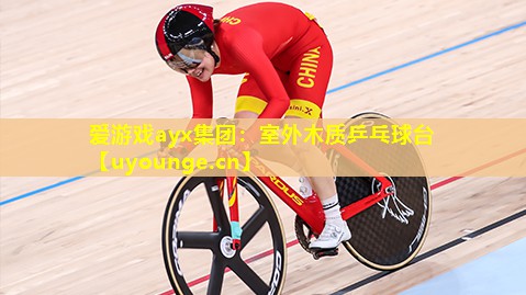 室外木质乒乓球台 室外木质乒乓球台