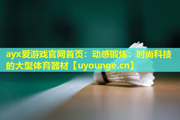 动感锻炼:时尚科技的大型体育器材 动感锻炼:时尚科技的大型体育器材