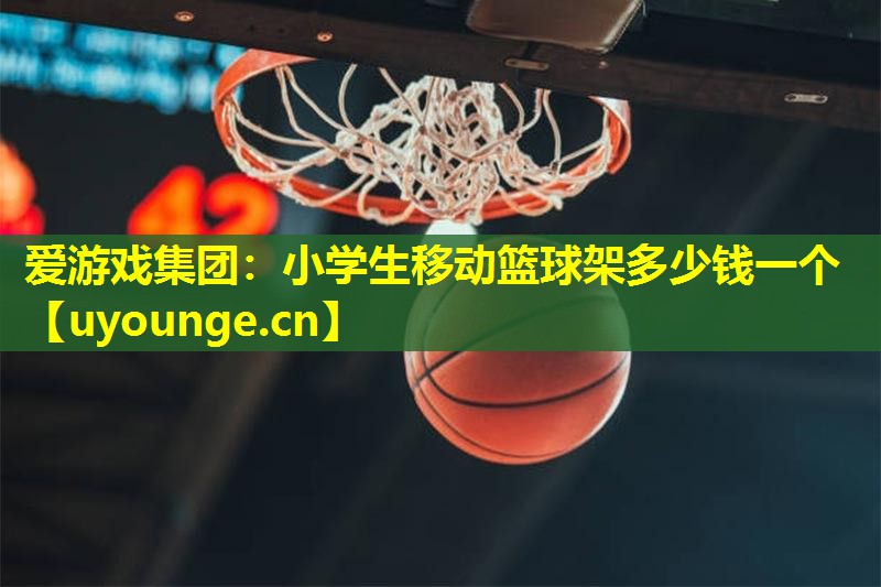 小学生移动篮球架多少钱一个 小学生移动篮球架多少钱一个