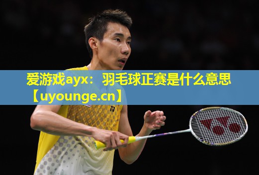羽毛球正赛是什么意思 羽毛球正赛是什么意思