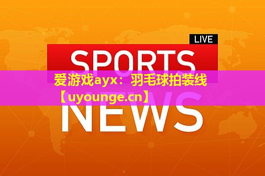 羽毛球拍装线 羽毛球拍装线