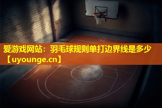 羽毛球规则单打边界线是多少 羽毛球规则单打边界线是多少