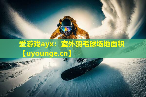 室外羽毛球场地面积 室外羽毛球场地面积