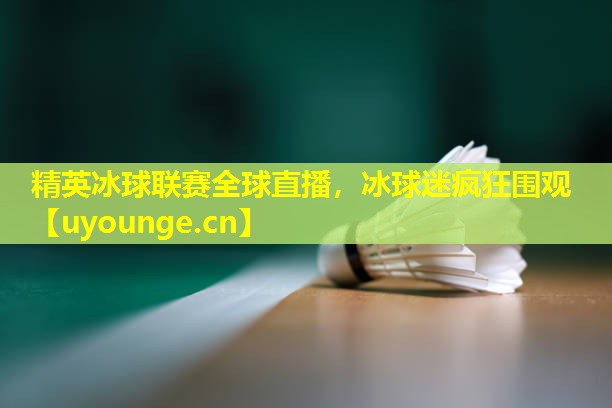精英冰球联赛全球直播,冰球迷疯狂围观 精英冰球联赛全球直播,冰球迷疯狂围观