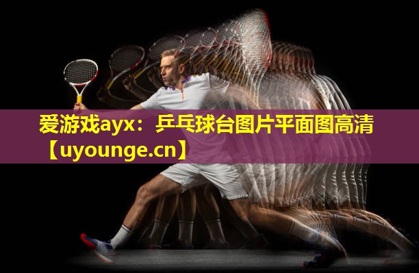 乒乓球台图片平面图高清 乒乓球台图片平面图高清