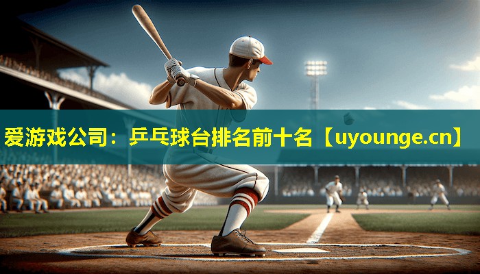 乒乓球台排名前十名 乒乓球台排名前十名