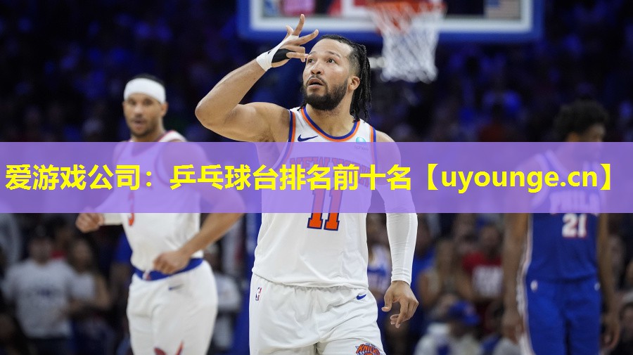 乒乓球台排名前十名 乒乓球台排名前十名