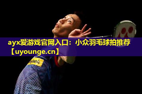 小众羽毛球拍推荐 小众羽毛球拍推荐