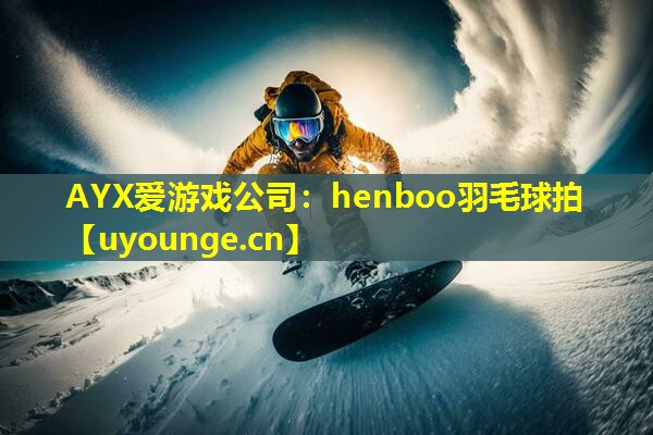 henboo羽毛球拍 henboo羽毛球拍