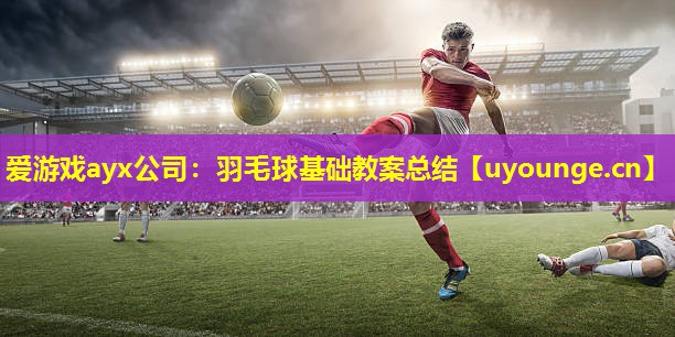 羽毛球基础教案总结 羽毛球基础教案总结