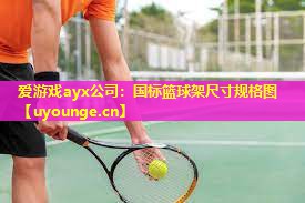 国标篮球架尺寸规格图 国标篮球架尺寸规格图