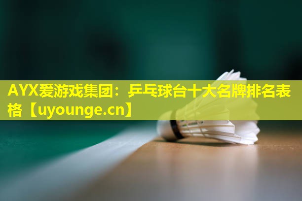 乒乓球台十大名牌排名表格 乒乓球台十大名牌排名表格