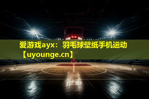 羽毛球壁纸手机运动 羽毛球壁纸手机运动