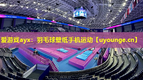 羽毛球壁纸手机运动 羽毛球壁纸手机运动