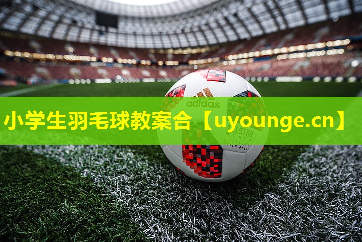 小学生羽毛球教案合 小学生羽毛球教案合