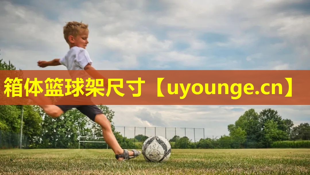 箱体篮球架尺寸 箱体篮球架尺寸