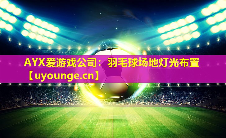 羽毛球场地灯光布置 羽毛球场地灯光布置