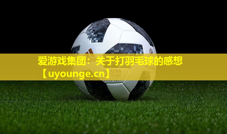 关于打羽毛球的感想 关于打羽毛球的感想