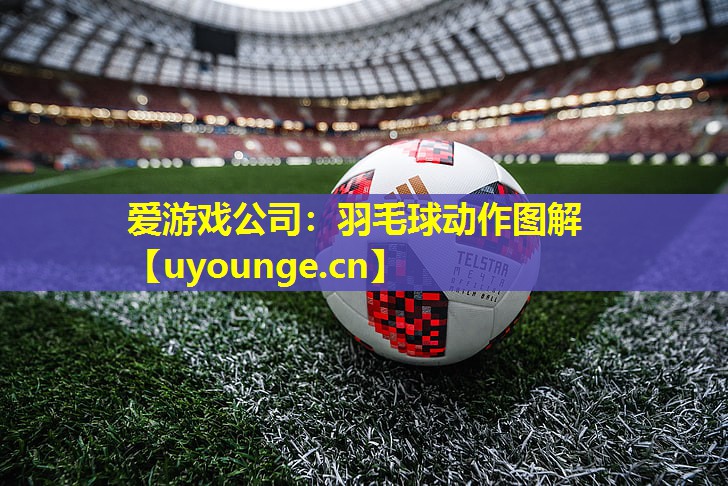 羽毛球动作图解 羽毛球动作图解