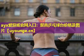 双喜乒乓球台价格及图片 双喜乒乓球台价格及图片