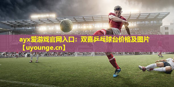 双喜乒乓球台价格及图片 双喜乒乓球台价格及图片
