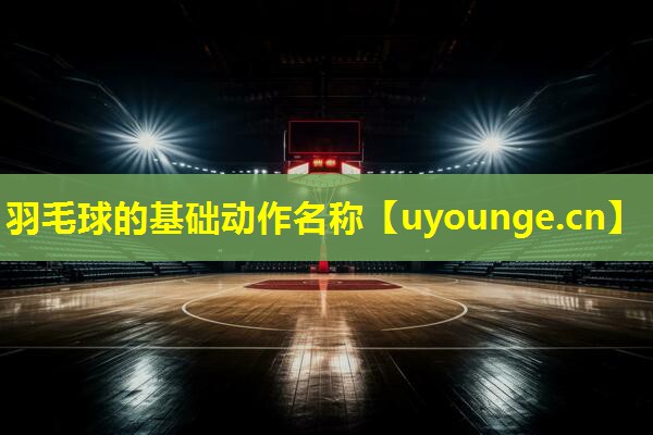 羽毛球的基础动作名称 羽毛球的基础动作名称