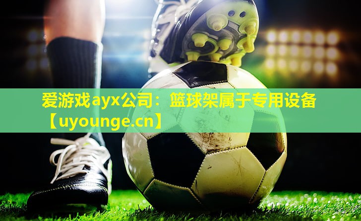 篮球架属于专用设备 篮球架属于专用设备