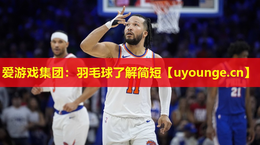 羽毛球了解简短 羽毛球了解简短