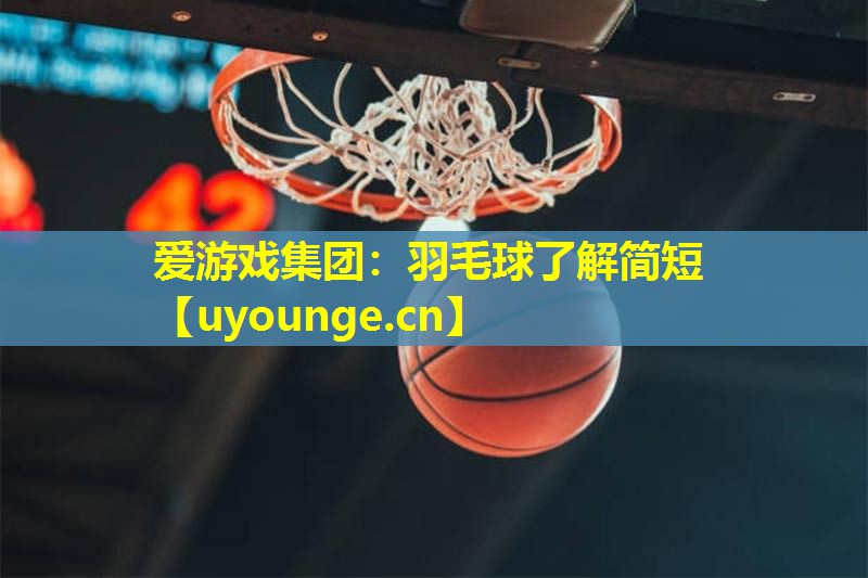 羽毛球了解简短 羽毛球了解简短