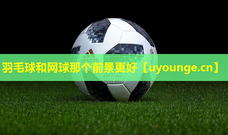 羽毛球和网球那个前景更好 羽毛球和网球那个前景更好